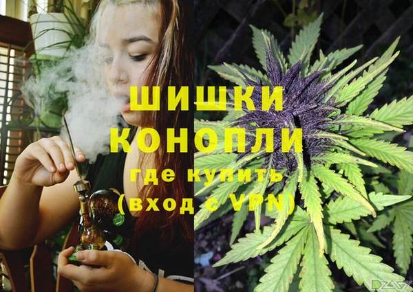 прущие крисы Пестово