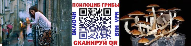 Псилоцибиновые грибы GOLDEN TEACHER  Белая Калитва 