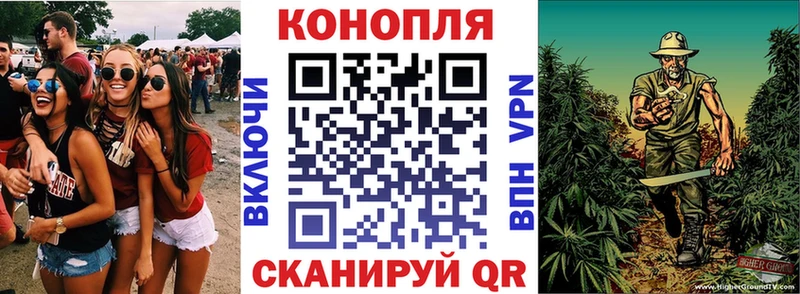 Конопля план  Белая Калитва 